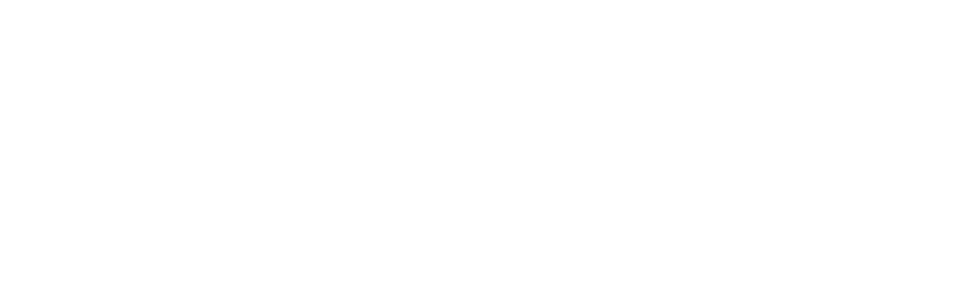 Fiducial Pointex